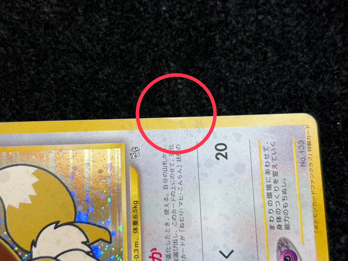 状態B〕イーブイ(ポケモンカードファンクラブ)【P】{旧裏}