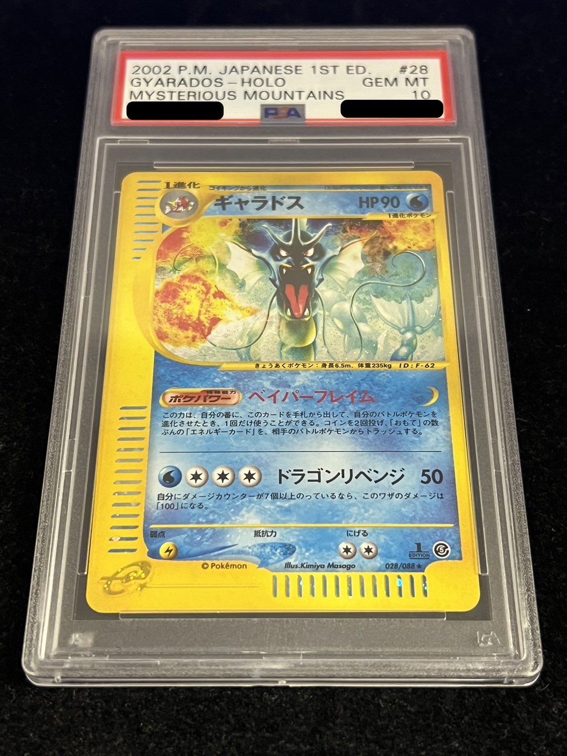 状態難/PSA10鑑定済〕ギャラドス(カードe)【-】{028/088}