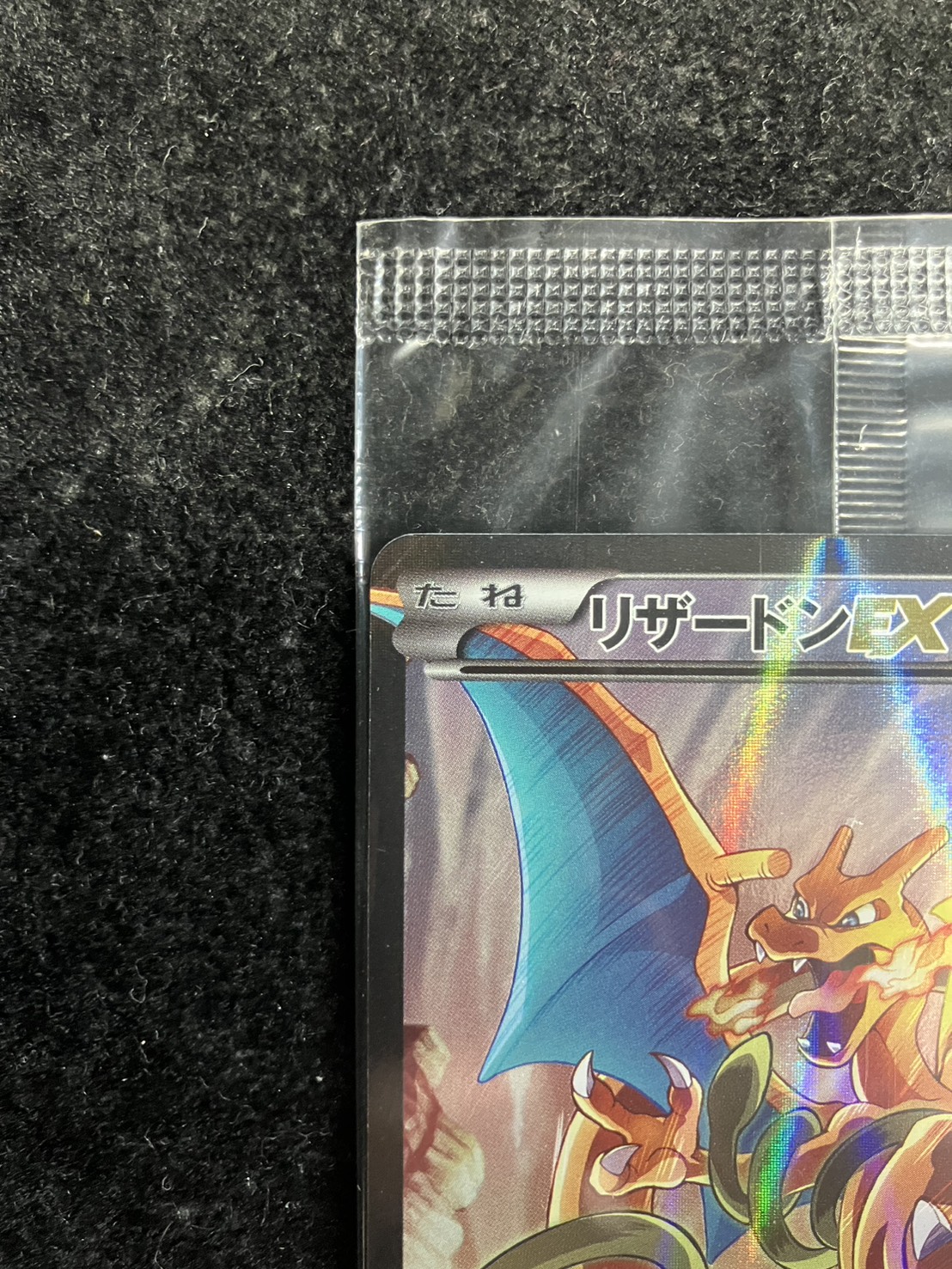 状態A-〕リザードンEX(未開封)【P】{276/XY-P}