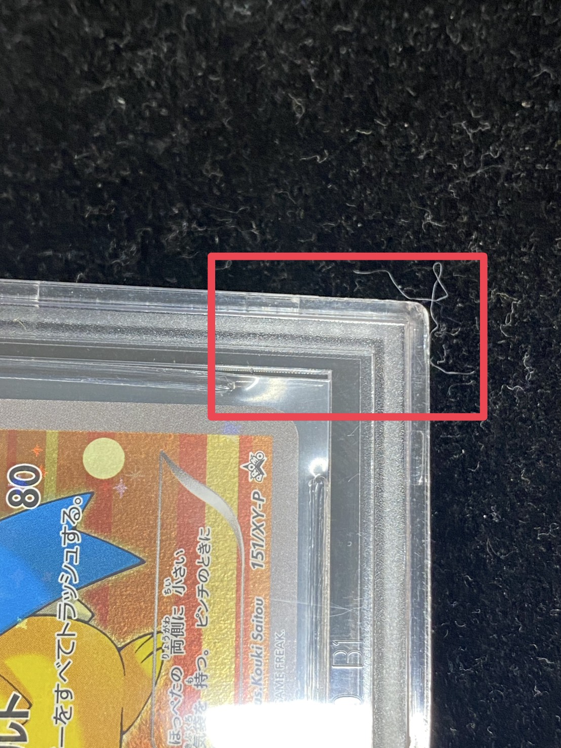 状態難/BGS9.5鑑定済〕ギャラドスごっこピカチュウ【P】{151/XY-P}