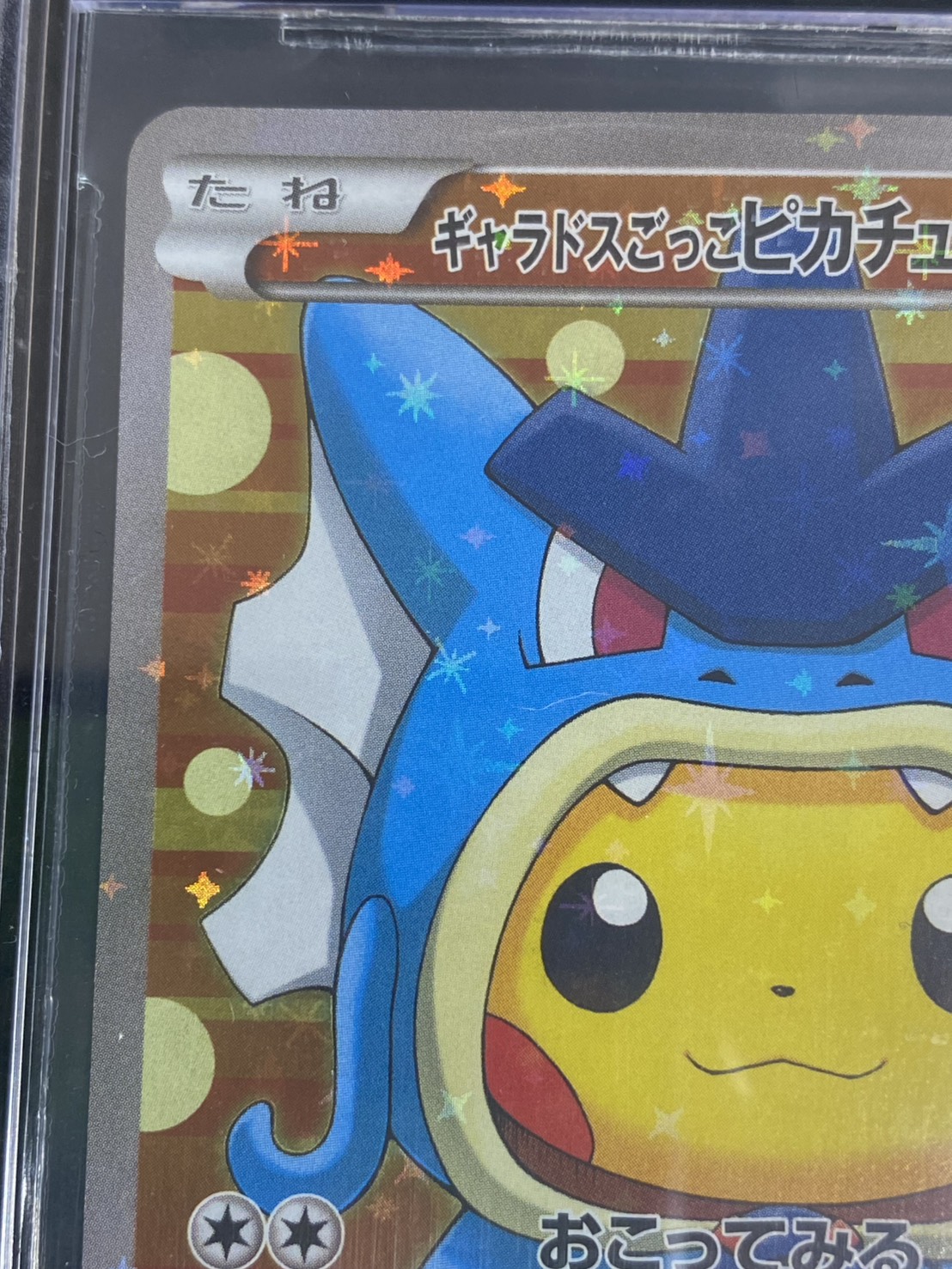 状態難/BGS9.5鑑定済〕ギャラドスごっこピカチュウ【P】{151/XY-P}