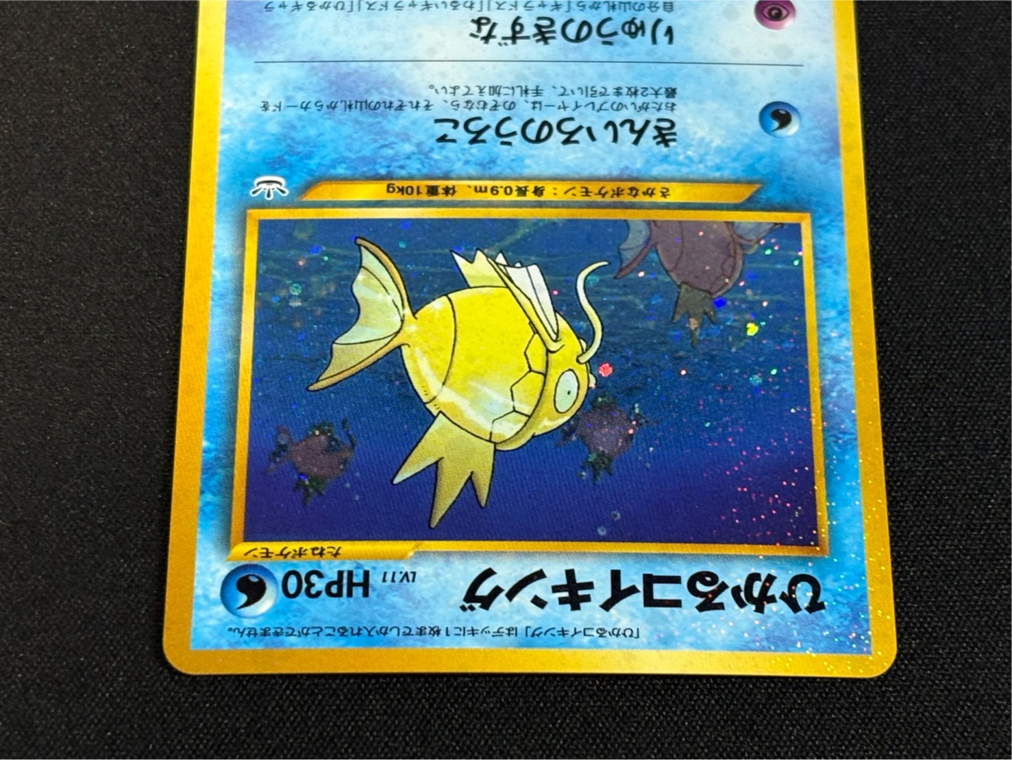 状態B〕ひかるコイキング(めざめる伝説)【-】{旧裏}