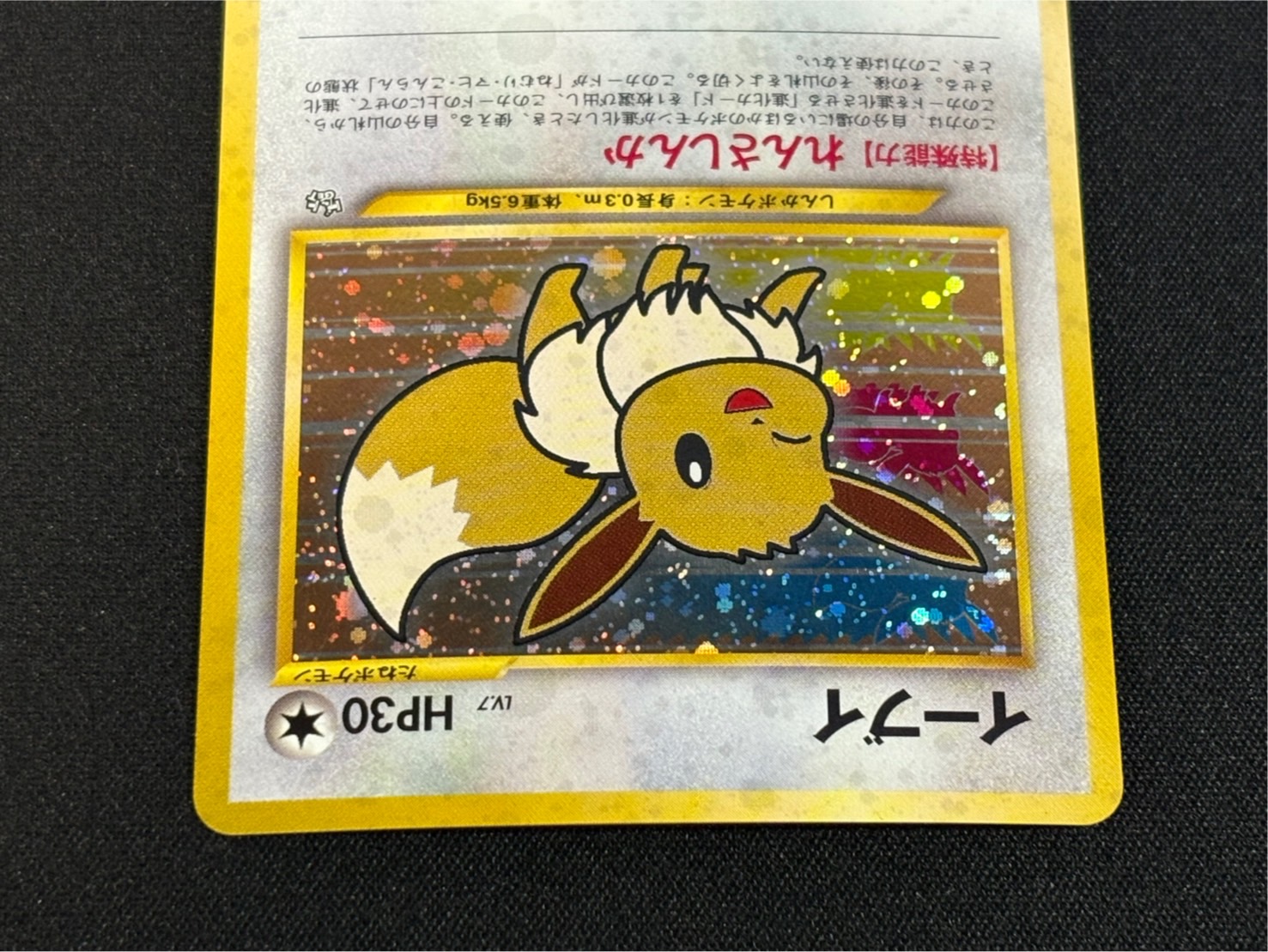 【良品〇】ポケカ　Pokéca 旧裏　ポケモンカード激レア　ファンクラブイーブイ 状態B〕イーブイ(ポケモンカードファンクラブ)【P】{旧裏}