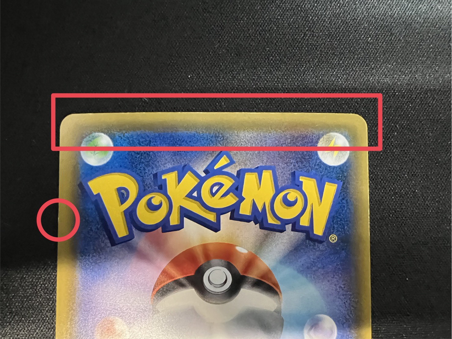 状態B〕マリオピカチュウ【P】{293/XY-P}