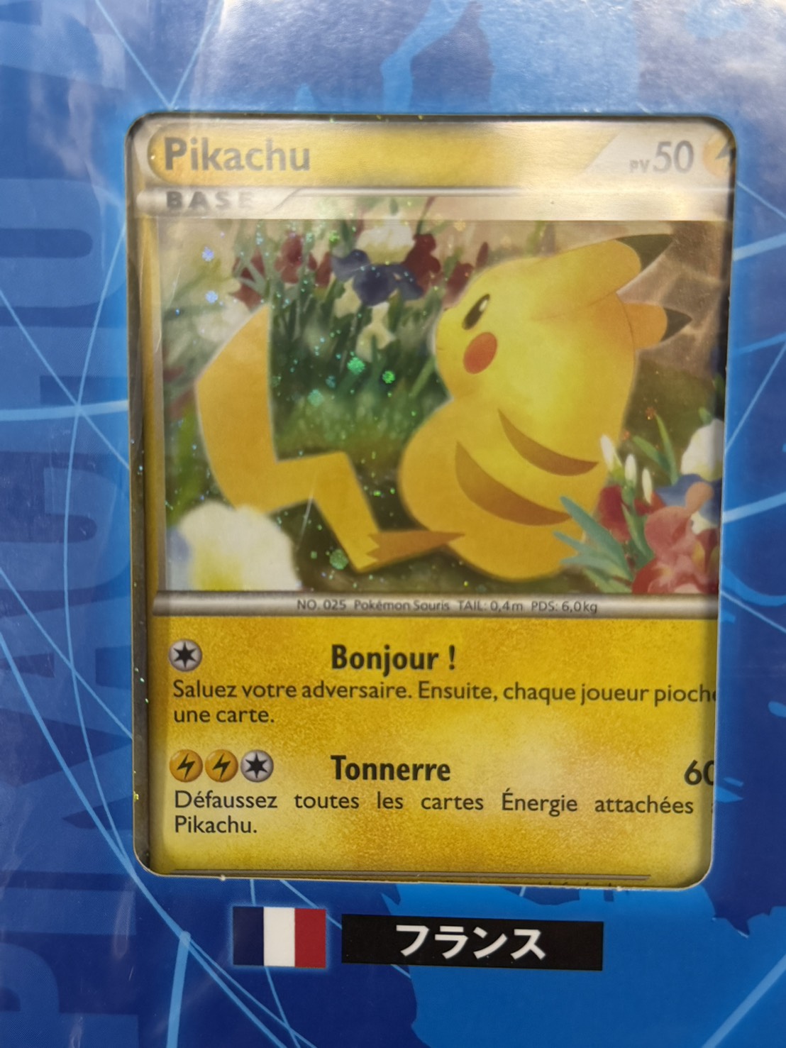 ポケモンカード ピカチュウワールド/PIKACHU WORLD 未使用 美品 ピカチュウ ワールド 9枚セット 未使用 pikachu world