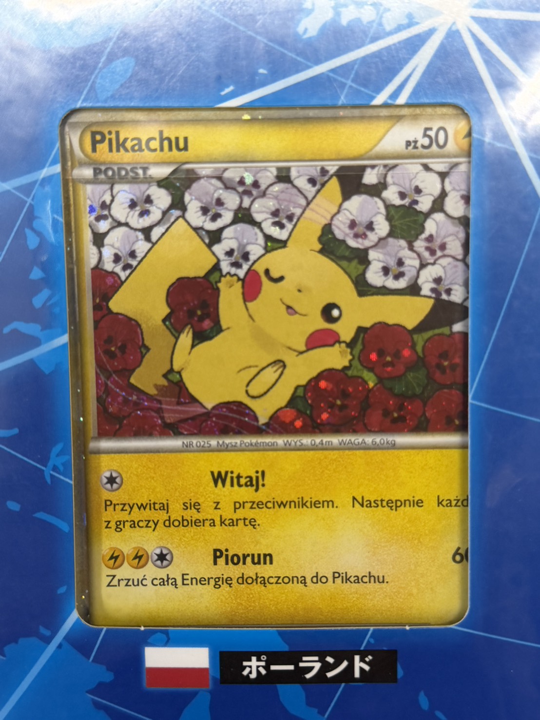 ポケモンカードゲーム　ピカチュウ　ワールド　青　未開封品 ポケモンカードゲーム ピカチュウ ワールド(PW)【未開封パック】{-}