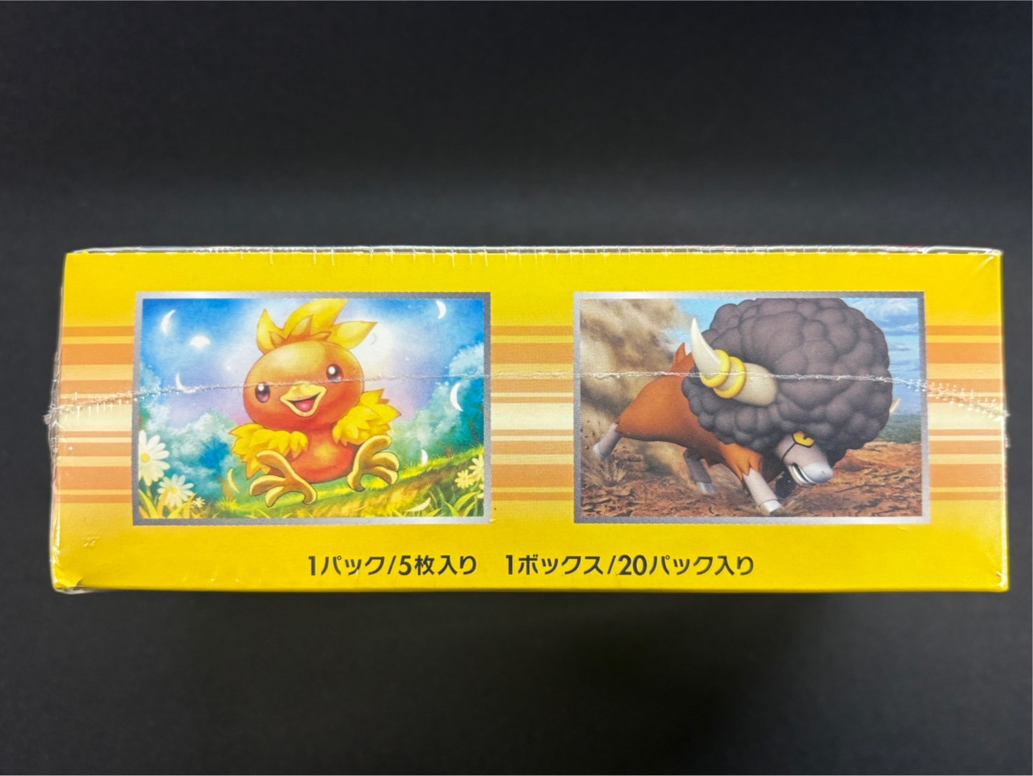 ポケモンカード　ガイアボルケーノ　光を喰らう闇　未開封パック　クリアケース付き 拡張パック第5弾 ガイアボルケーノ(XY5)【未開封パック】{-}