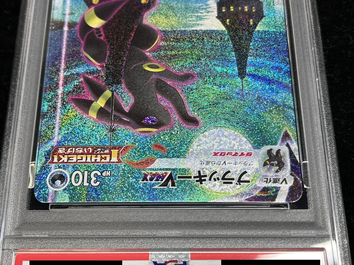 PSA10 ポケモンカードBW ブラッキー　プラズマ団 ポケモンカード ブラッキー BW プラズマ団 psa10 PSA10 ポケモンカード