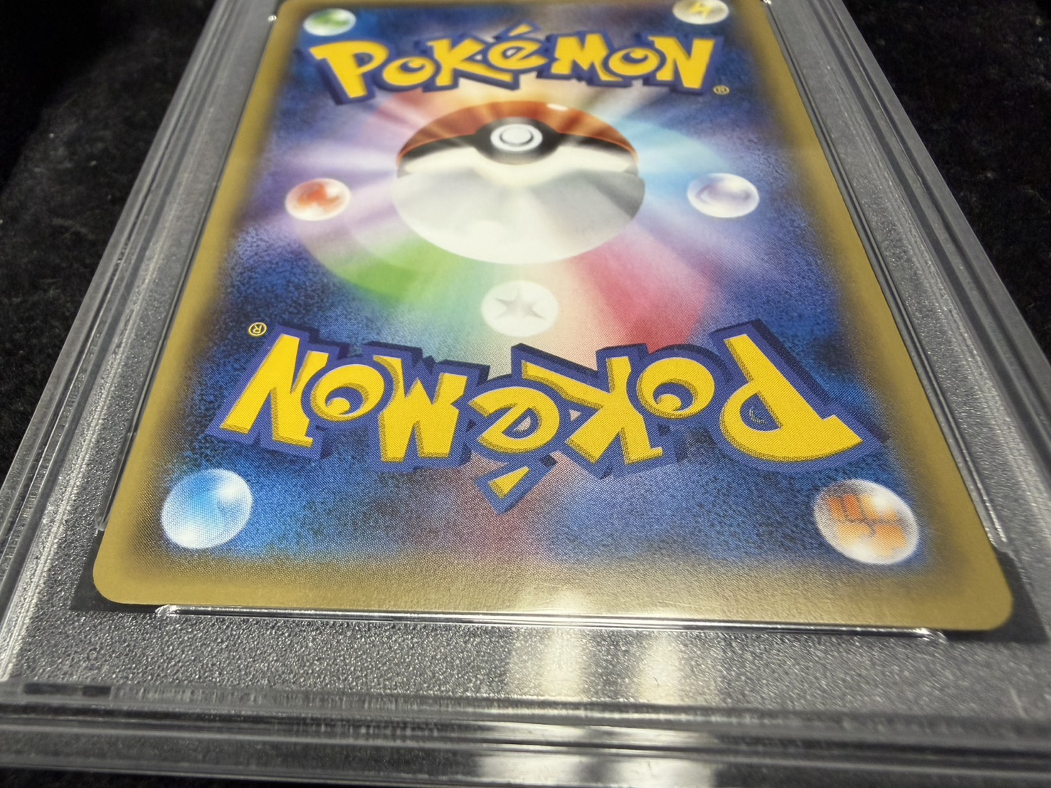 PSA10鑑定済〕ポンチョを着たピカチュウ【P】{231/XY-P}