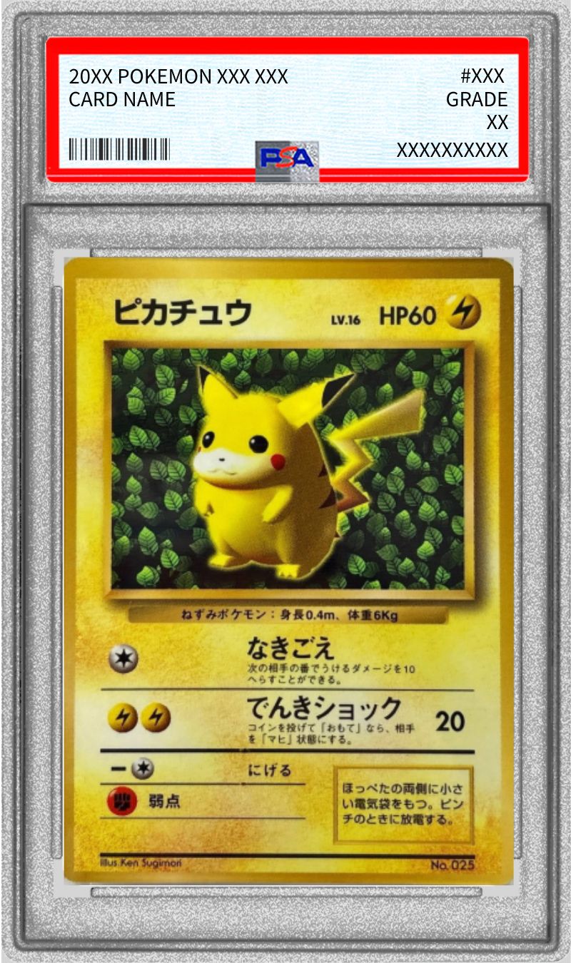 PSA6鑑定済〕ピカチュウ LV.16(光沢あり/Ken Sugimori)【-】{旧裏}