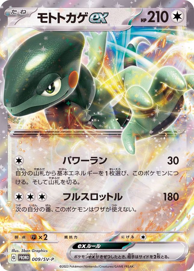 ポケモンカード　exスペシャルセット　プロモカード13個