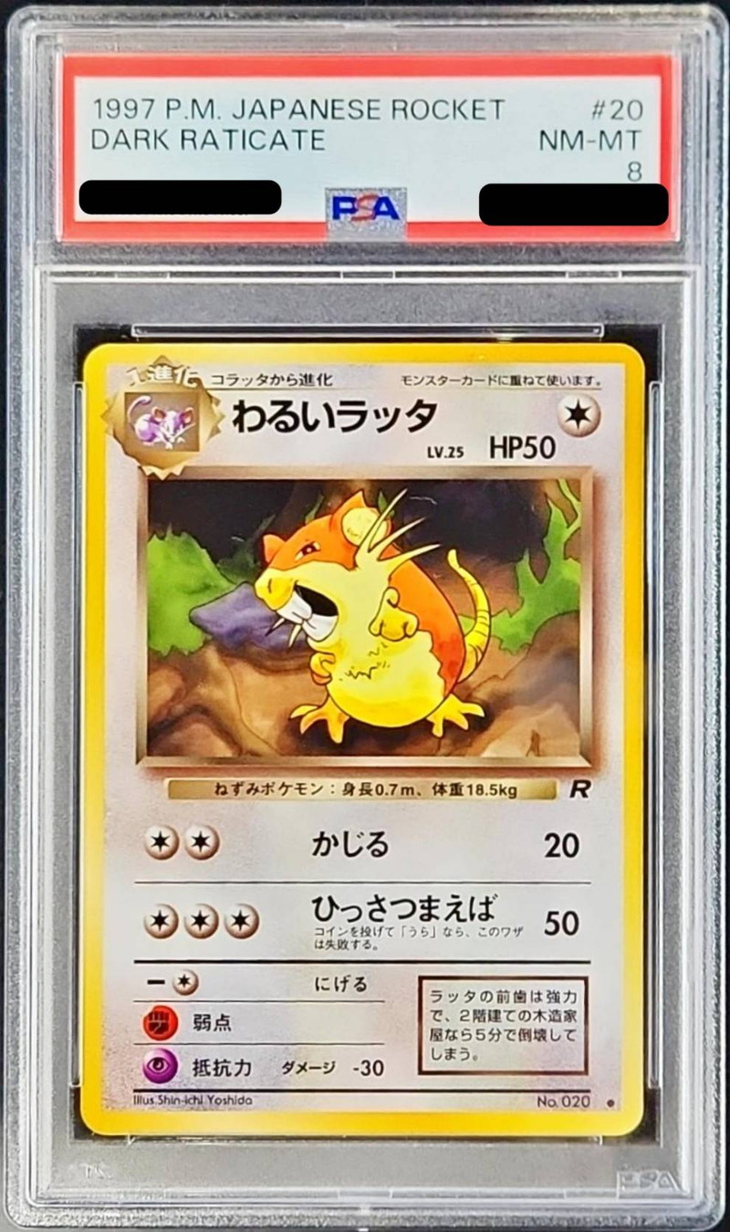 PSA8 】 ラッタ 旧裏 初版 マークなし