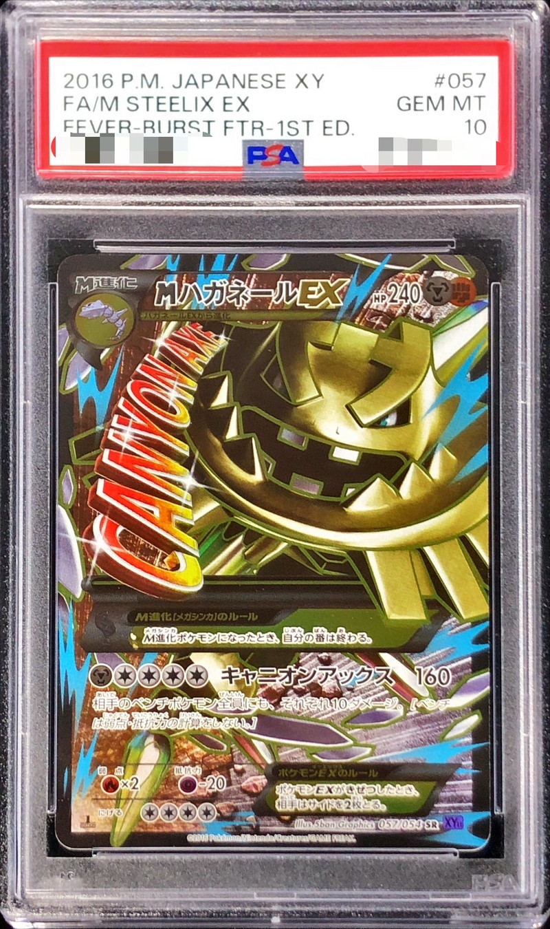 PSA10 ハガネール