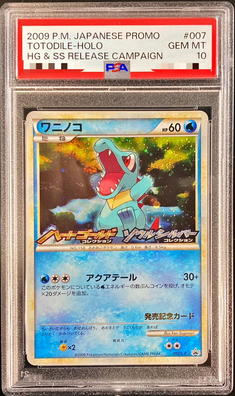 PSA10 ポケモンカードe ワニノコ