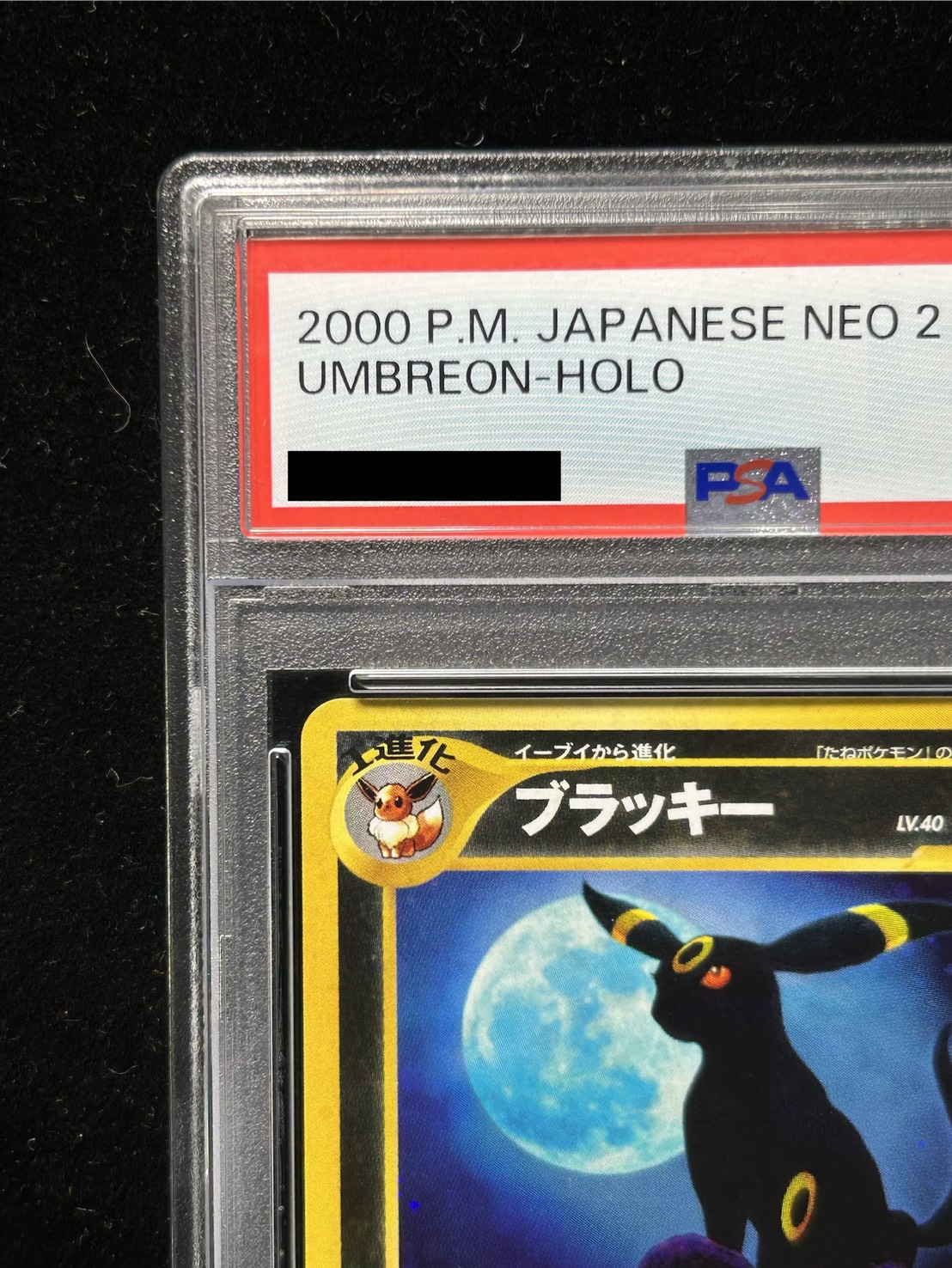PSA10鑑定済〕ブラッキー LV.40【☆】{旧裏}