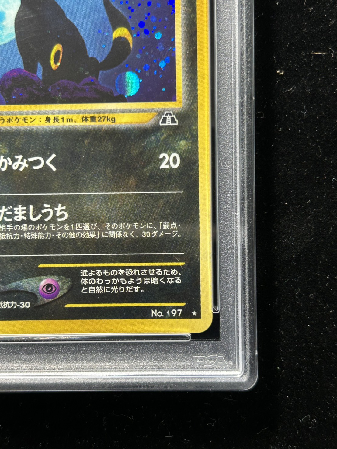 PSA10鑑定済〕ブラッキー LV.40【☆】{旧裏}
