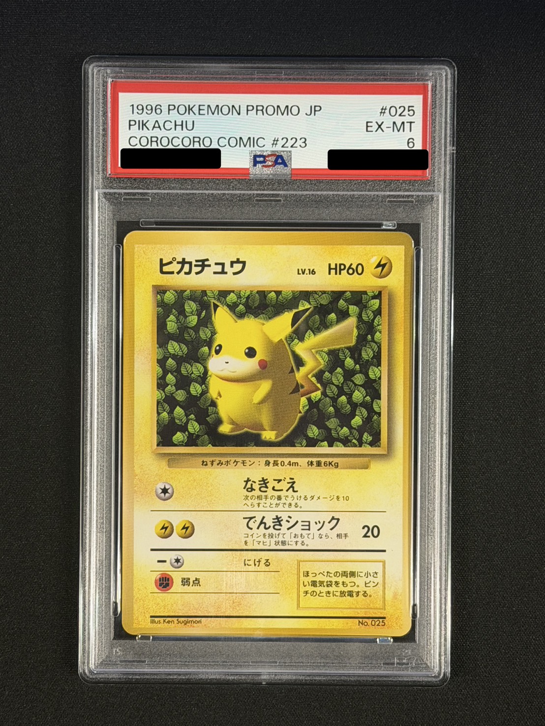 PSA6鑑定済〕ピカチュウ LV.16(光沢あり/Ken Sugimori)【-】{旧裏}
