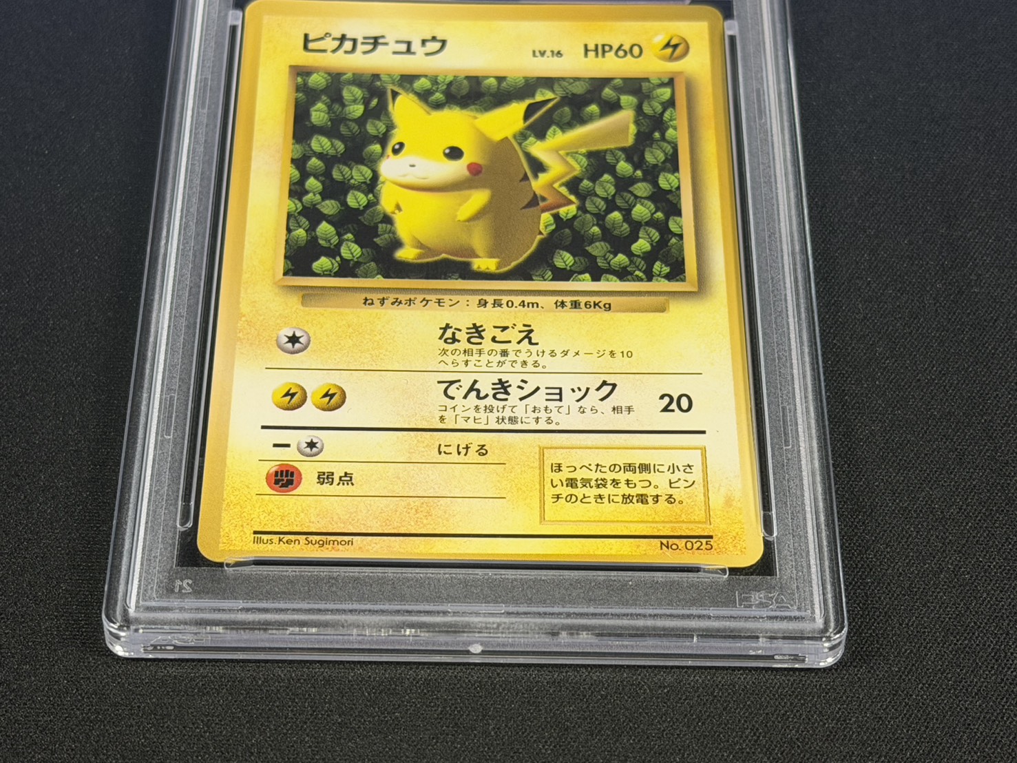 PSA6鑑定済〕ピカチュウ LV.16(光沢あり/Ken Sugimori)【-】{旧裏}
