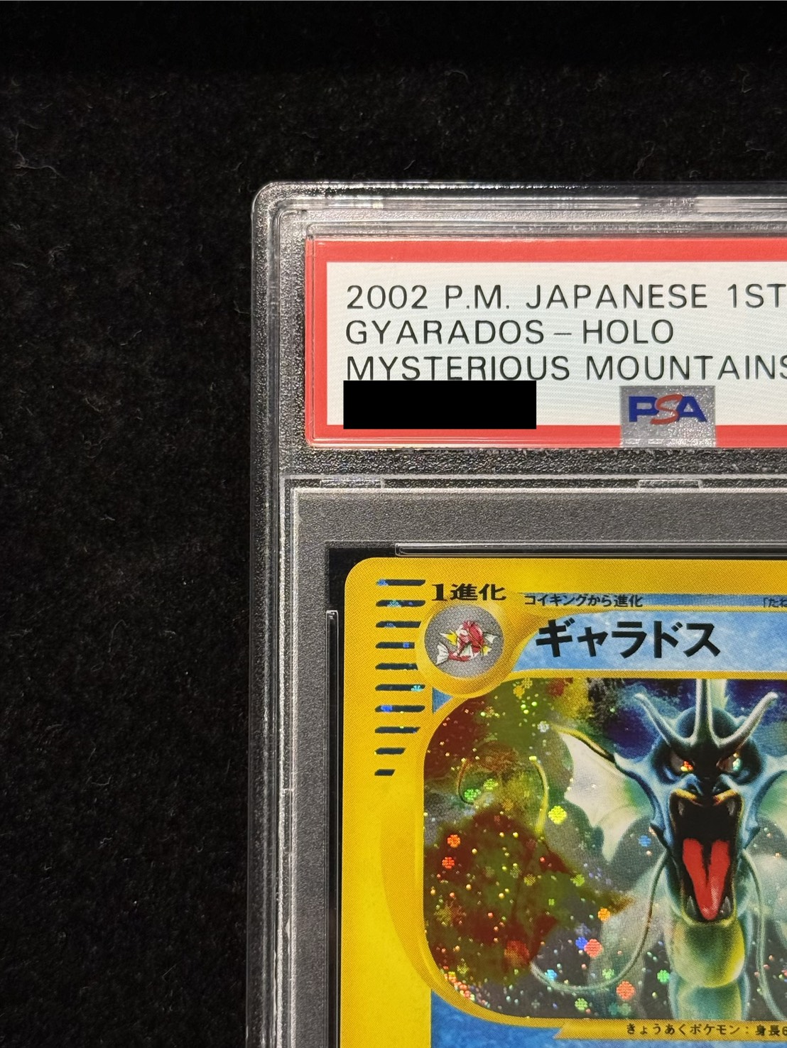 PSA10鑑定済〕ギャラドス(カードe/1ED)【-】{028/088}