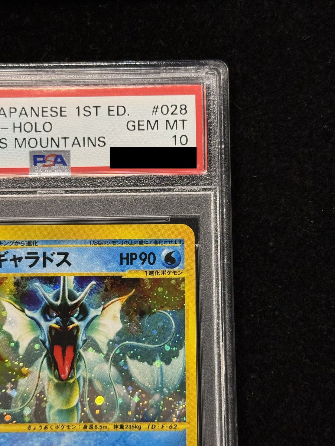 PSA10鑑定済〕ギャラドス(カードe/1ED)【-】{028/088}