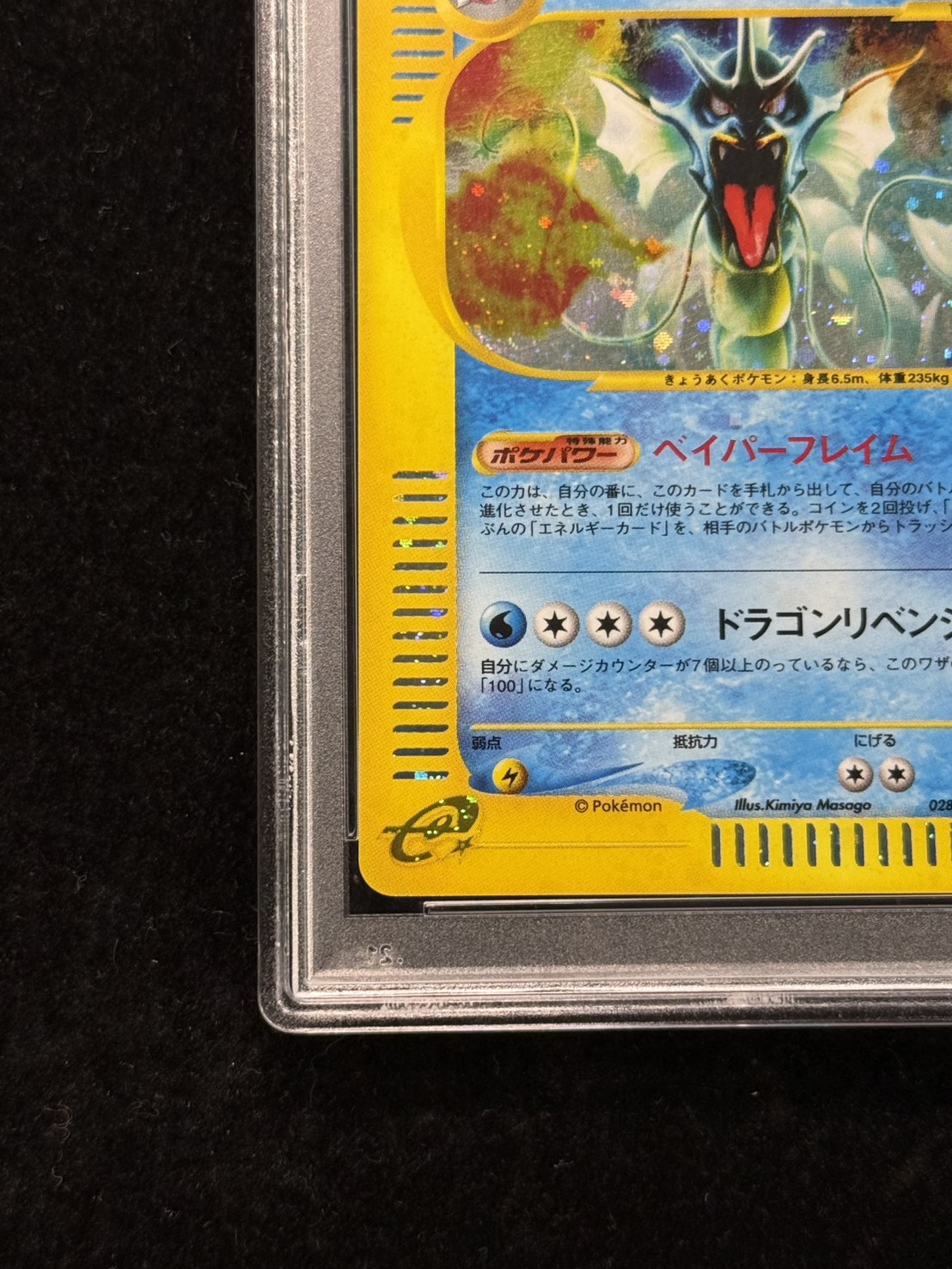 PSA10鑑定済〕ギャラドス(カードe/1ED)【-】{028/088}